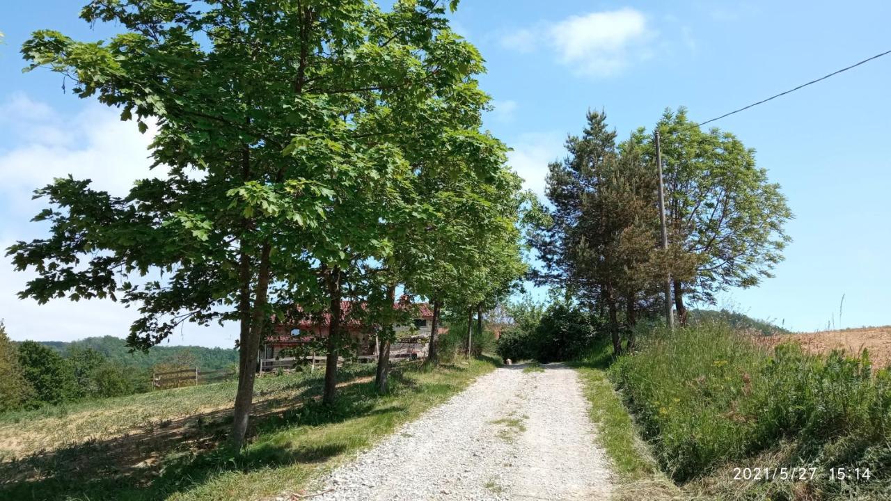 Cascina Boschetto Acomodação com café da manhã Saliceto Exterior foto