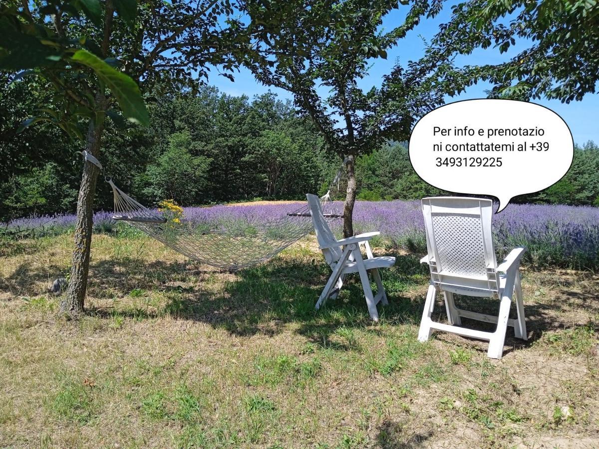 Cascina Boschetto Acomodação com café da manhã Saliceto Exterior foto